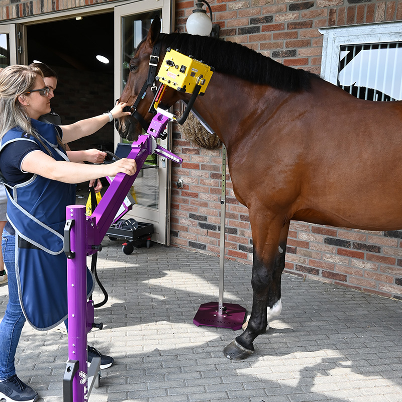 [DK]Modulært positioneringssystem til heste, eksempel 2